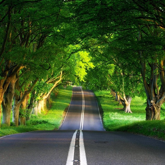 Meet your Posher, Kerry - Picture 15 of 16